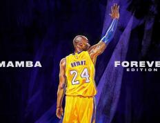 开云体育下载-引擎轰鸣中的寂静大师，霍勒迪在上海雨夜展现巨星本色