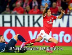 开云平台-关于霍芬海姆队在客场战胜对手，剑指德甲冠军的信息