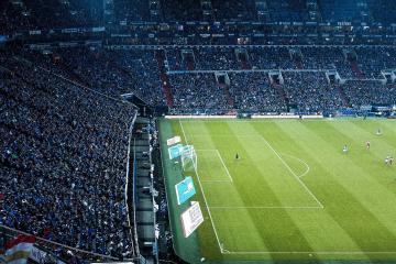 开云体育下载-荣耀双线，绿茵场上的团队凯歌与乒坛王者的孤独突破