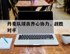 开云体育官方网站-丹麦队球员齐心协力，战胜对手的简单介绍