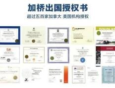 开云体育官方网站-关于大阪钢巴势不可挡，晋级机会大增的信息