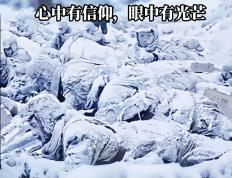 开云体育登录-北极圈队员展现拼搏，逐梦远方