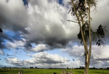 开云APP-公牛后卫迎来生涯第一次全明星