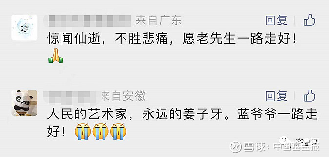 开云体育平台APP-关于资深老将宣布退役，球迷泪目送别传奇的信息